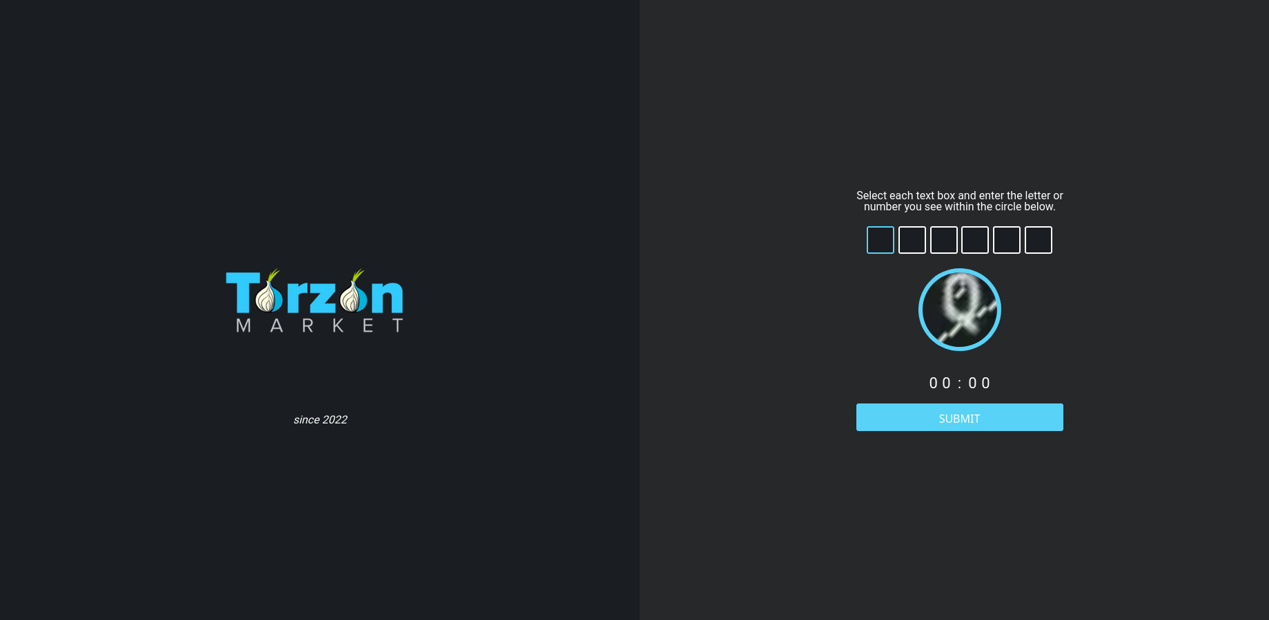 DDoS Protection Screen